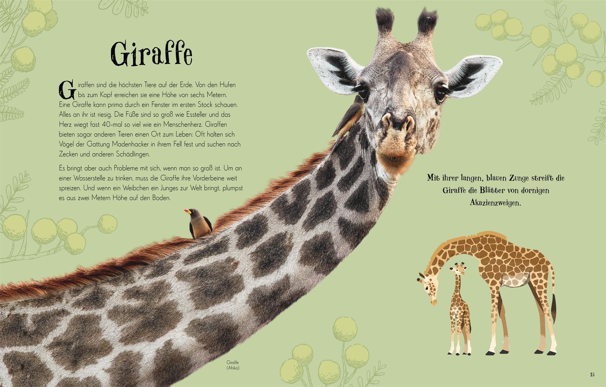 Wundervolle Welt der Tiere / Wundervolle Welt Bd.1