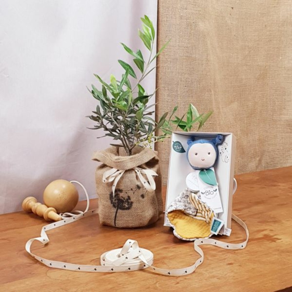 Coffret arbre de naissance, l'olivier et doudou abeille bio