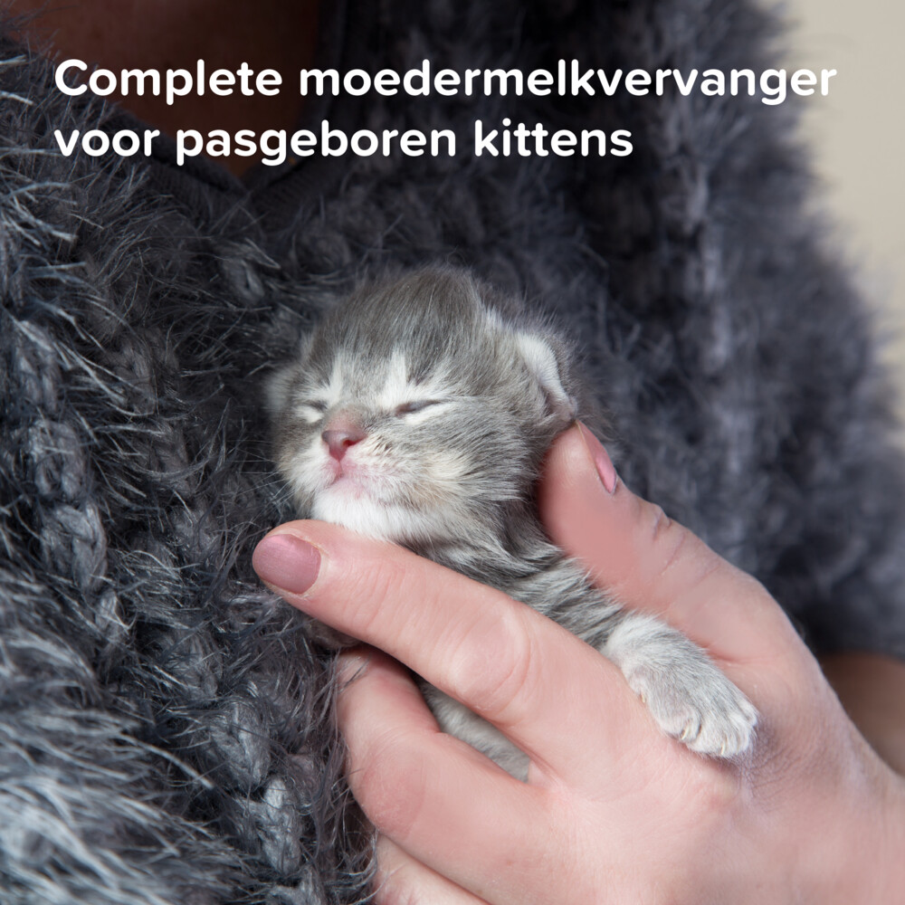 Beaphar Lactol Melk Kitten250 gr