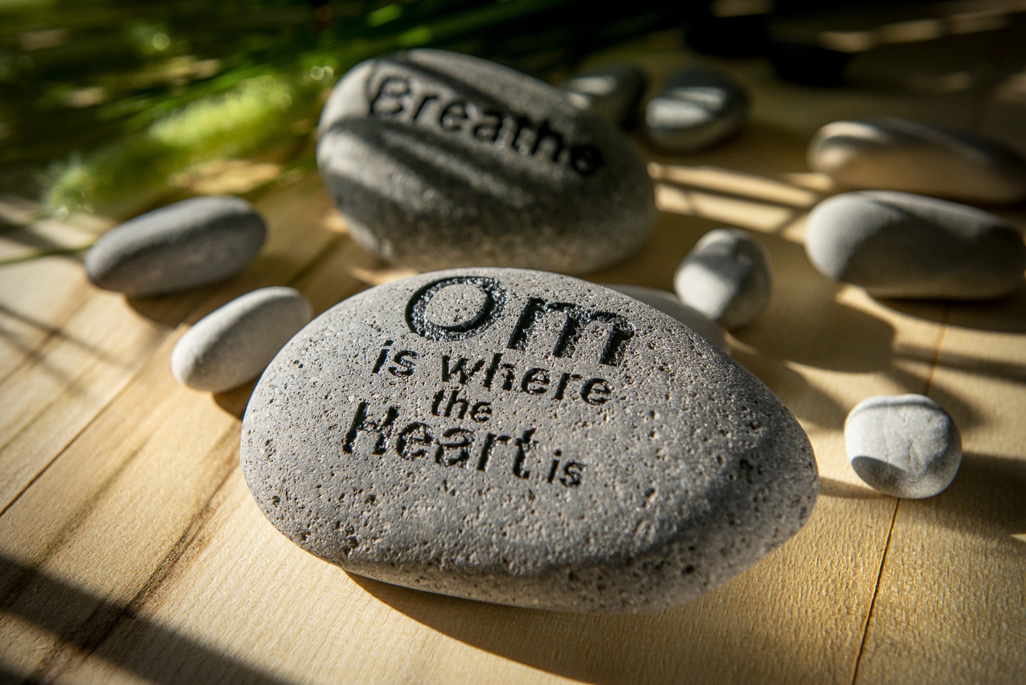 Flusskiesel 'Om is where the Heart is', B 10-11 cm, H 3 cm günstig bestellen