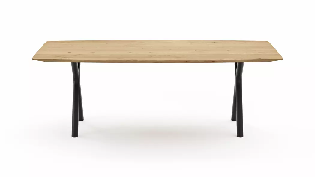 Esstisch Parla 220 x 100 cm