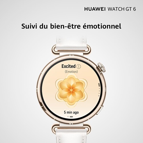 Montre connectée Huawei WATCH GT6 41MM BROWN