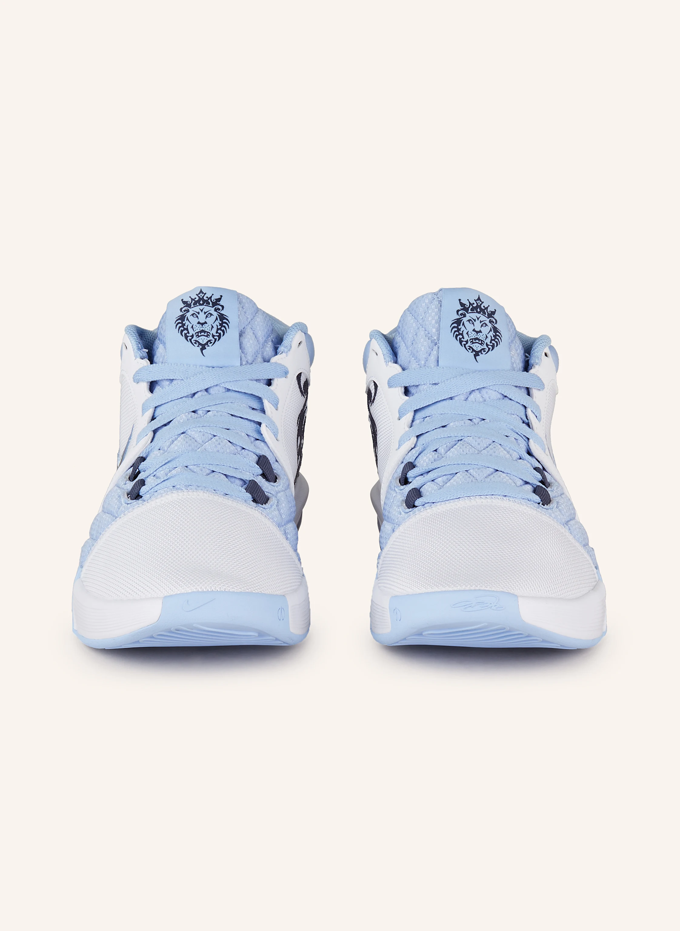 Nike Basketballschuhe LEBRON WITNESS VIII