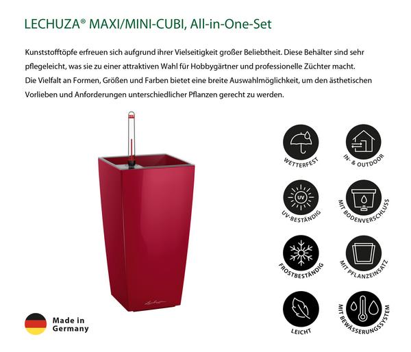 LECHUZA® MAXI/MINI-CUBI, All-in-One-Set,
