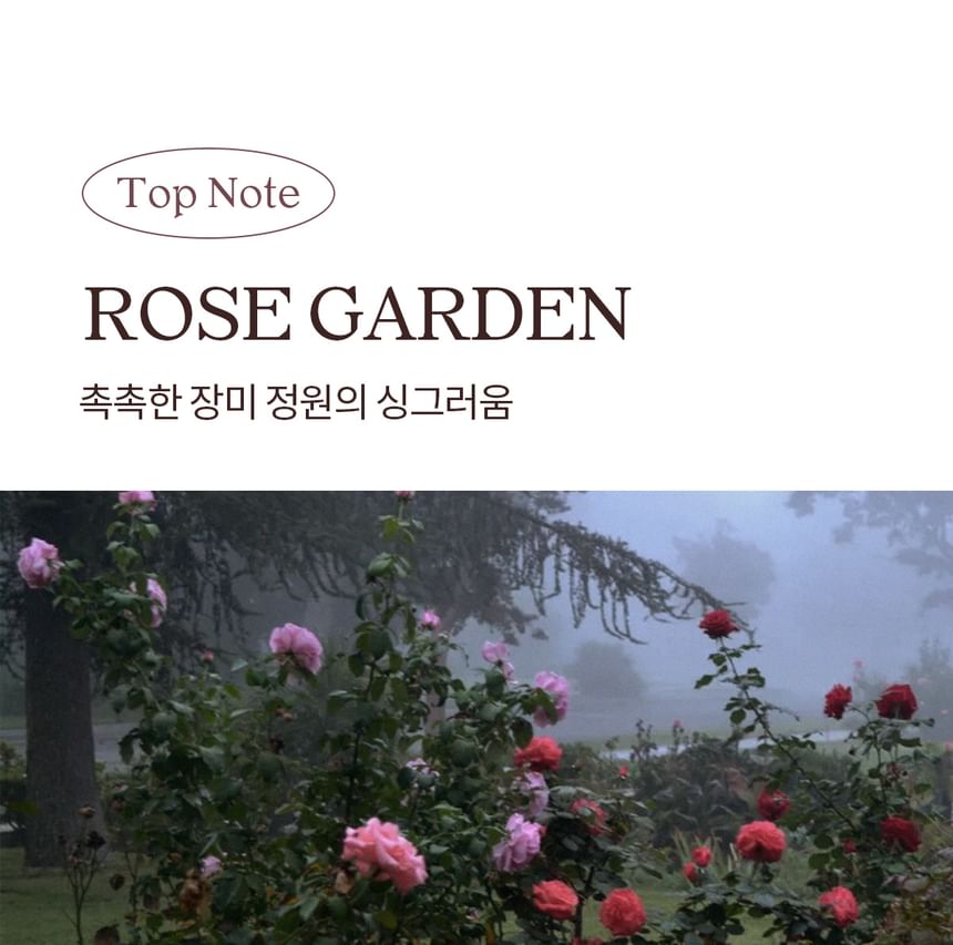 NDP - Rosy Fog Hand Relief