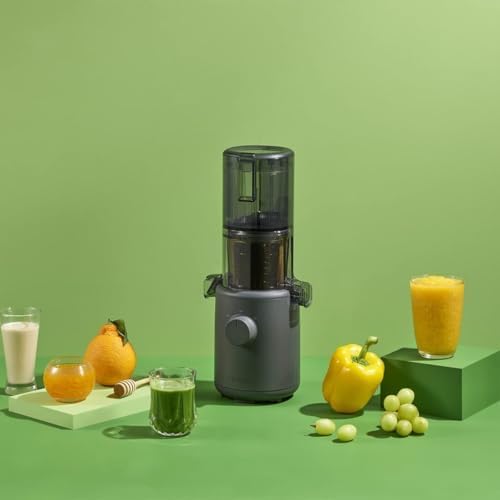 Hurom Slow Juicer | Entsafter Gemüse und Obst | H310 | Leicht zu Reinigen & Leiser Motor Elektrischer Entsafter mit Siebfilter | 150 Watt | BPA Frei | Schlankes Design | 220ml, Anthrazit