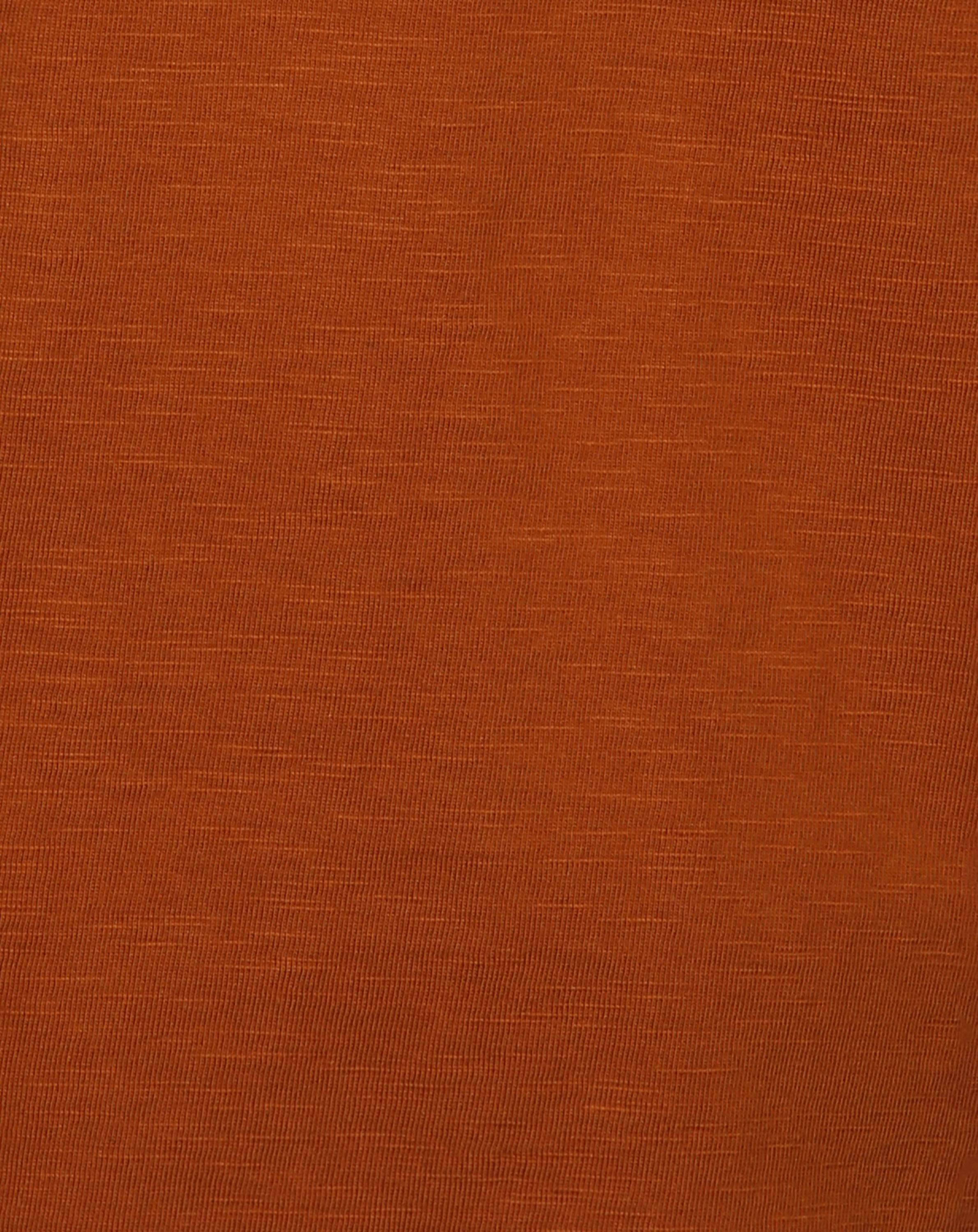 Langarmshirt STAY FAST in glazed ginger