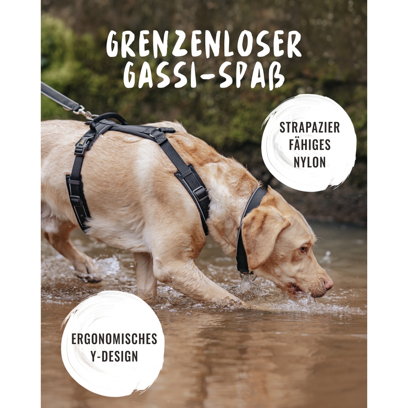 Rudelkönig Hundegeschirr - Gepolstertes Brustgeschirr schwarz S