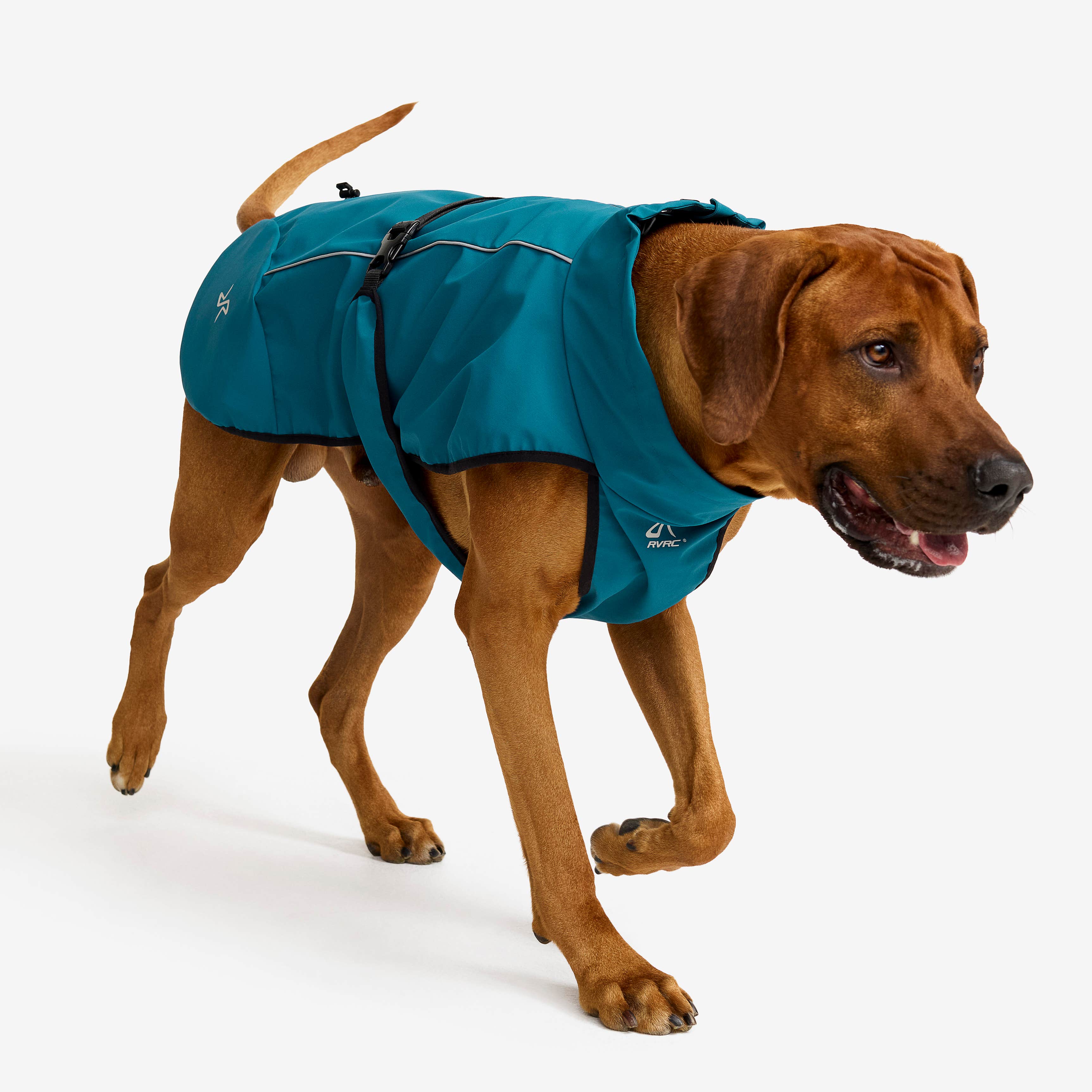 Cyclone Dog Jacket Hund Moroccan Blue