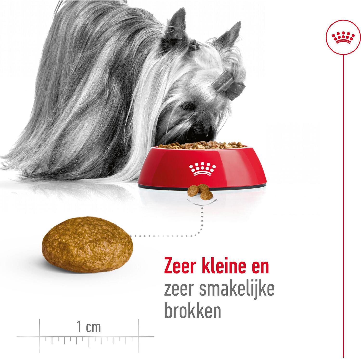 Royal Canin hondenvoer X-Small adult 1,5 kg