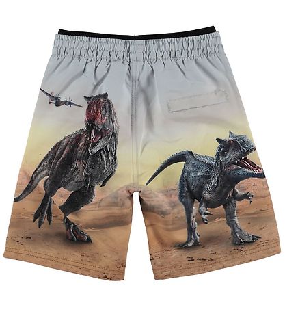 Molo Badeshorts - Badeshorts UV50+ - Neal - Dino -Landschaft