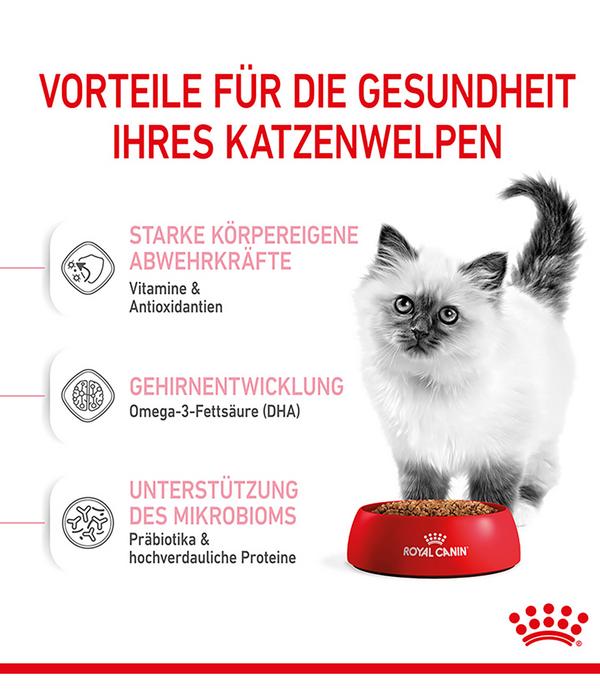 ROYAL CANIN® Trockenfutter für Katzen Kitten