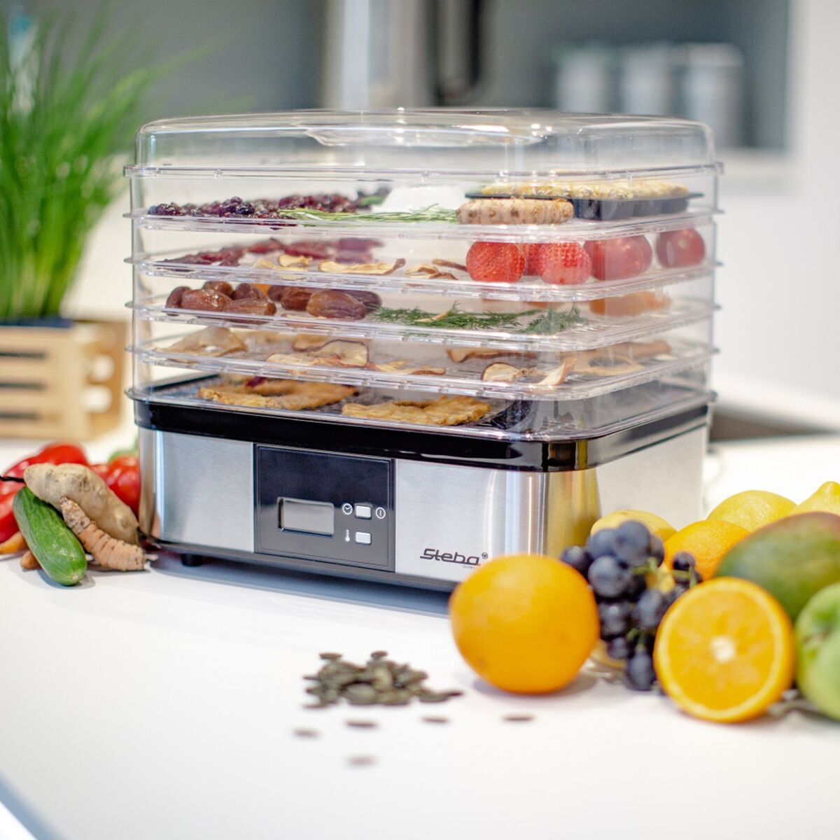 ED5 Dehydrator