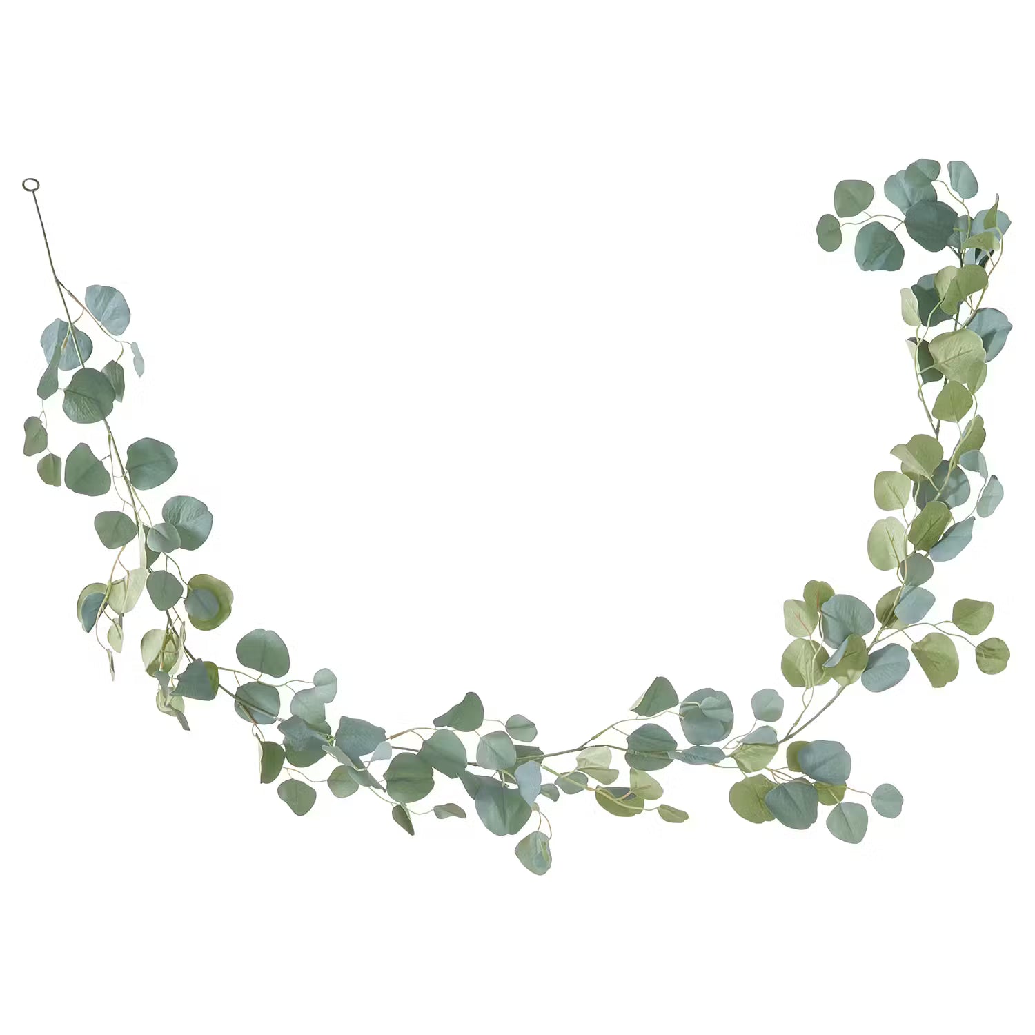 FLORISTA Girlande Eukalyptus