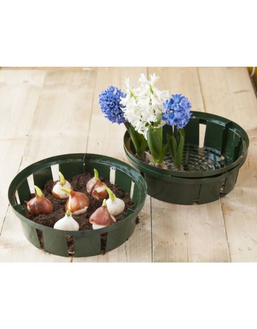 Nature Bollenplantmand - Kweekbenodigdheden - 26 cm Groen 3 stuks