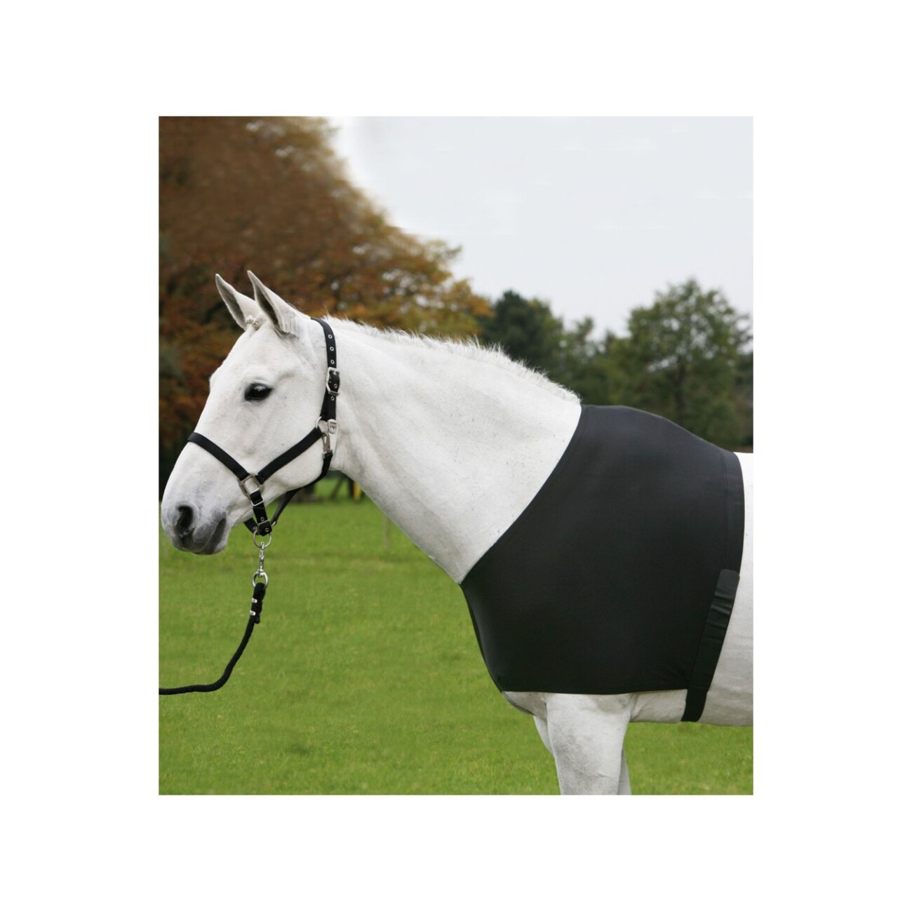 Waldhausen GmbH Waldhausen Pferdedecken-Brustschutz Comfort Vest WB (Warmblut)