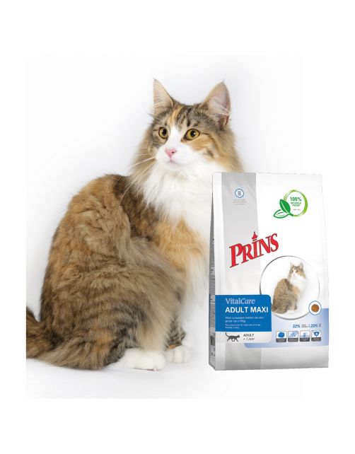 Prins Vitalcare Cat Adult Maxi Gevogelte - Kattenvoer
