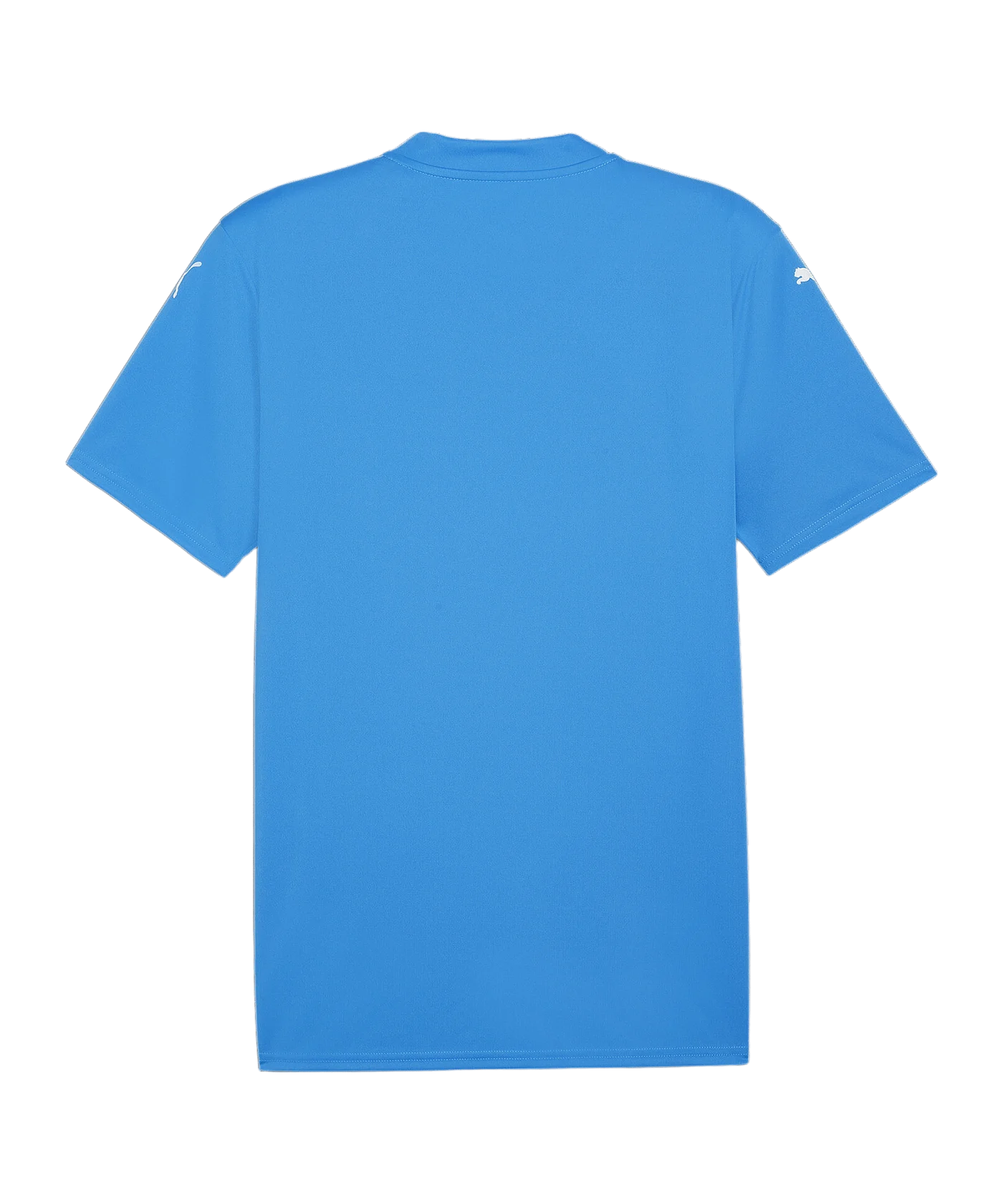 PUMA teamGLORY Trikot Blau Weiss Blau F02