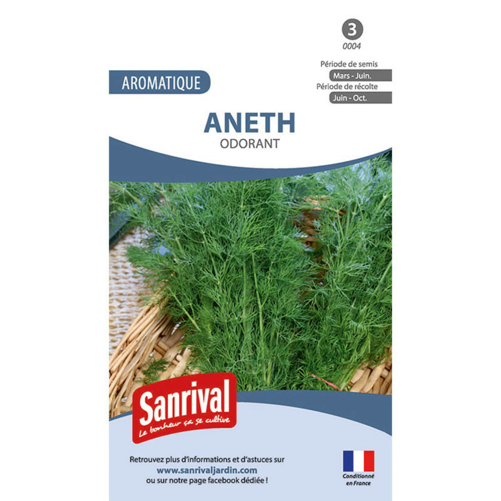 Graines aromatiques d'aneth