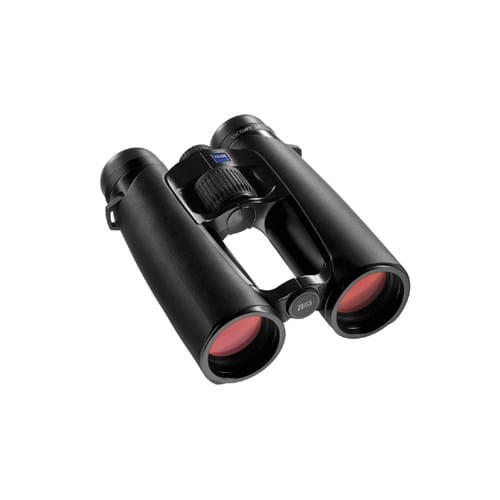 Jumelles zeiss victory t sf 10 x42