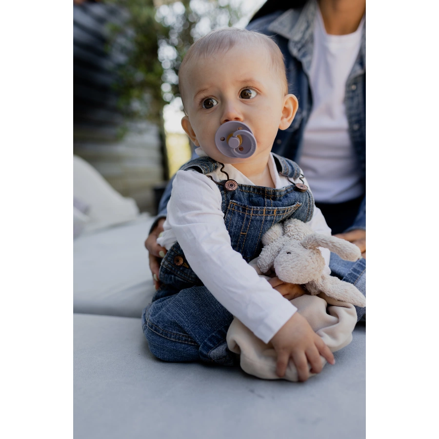BIBS® Schnuller Colour Fossil  Grey & Mauve 0-6 Monate, 2 Stk.