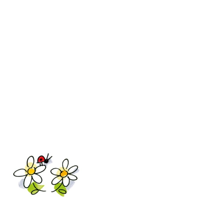 Blond Amsterdam | Beterschapskaart | Envelop met bloemen