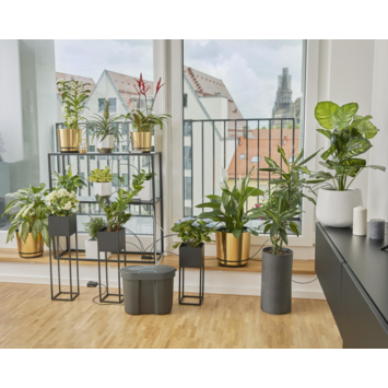 Gardena bewateringsset vakantie