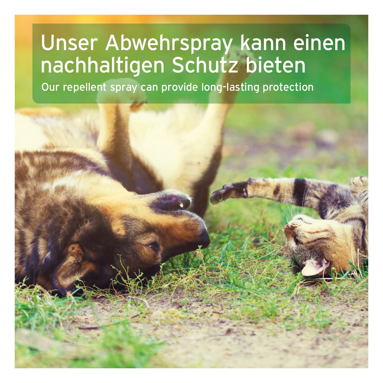 AniForte Zeckenspray für Hunde 100ml