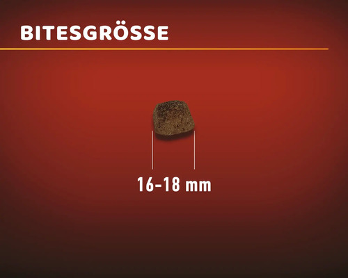 MR.BEEF Sensitive droogvoer voor honden 15 kg, non-GMO, zonder toegevoegde suikers, zonder kleurstoffen, zonder soja. Gemaakt in Duitsland.