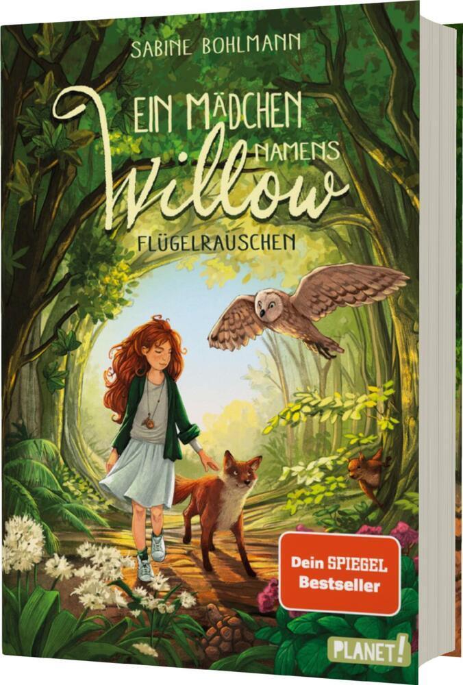 Flügelrauschen / Ein Mädchen namens Willow Bd.3