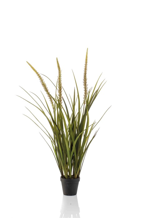 Grass foxtail 90 cm