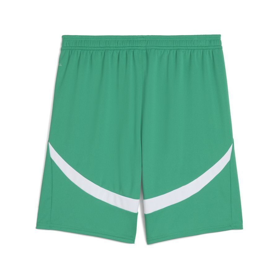 Puma Senegal 2025 Shorts
