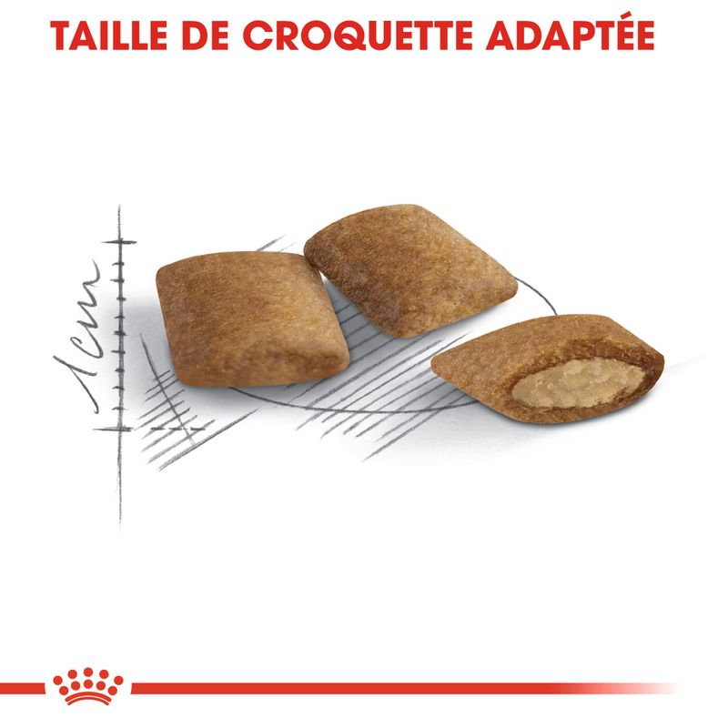 Royal Canin Ageing +12 à prix discount sur bitiba.fr