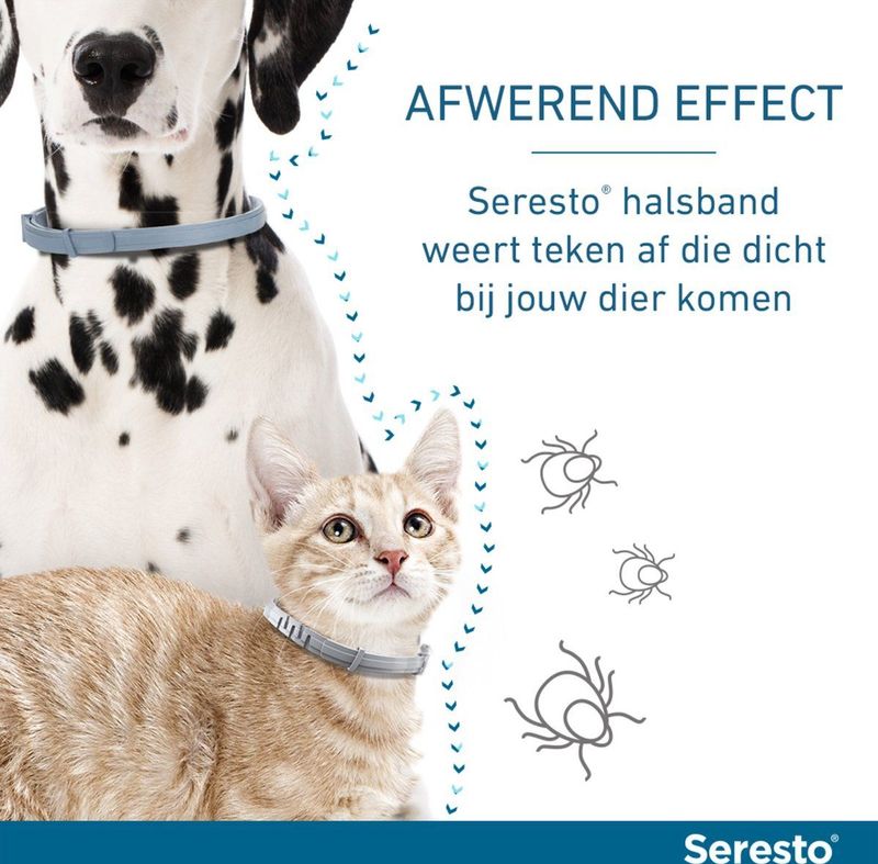 Seresto Teken- En Vlooienband Kat 38 cm - per stuk