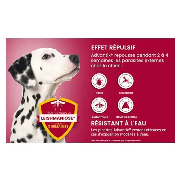 Advantix Chien Solution Antiparasitaire Grande Race 25 à 40kg 4 pipettes