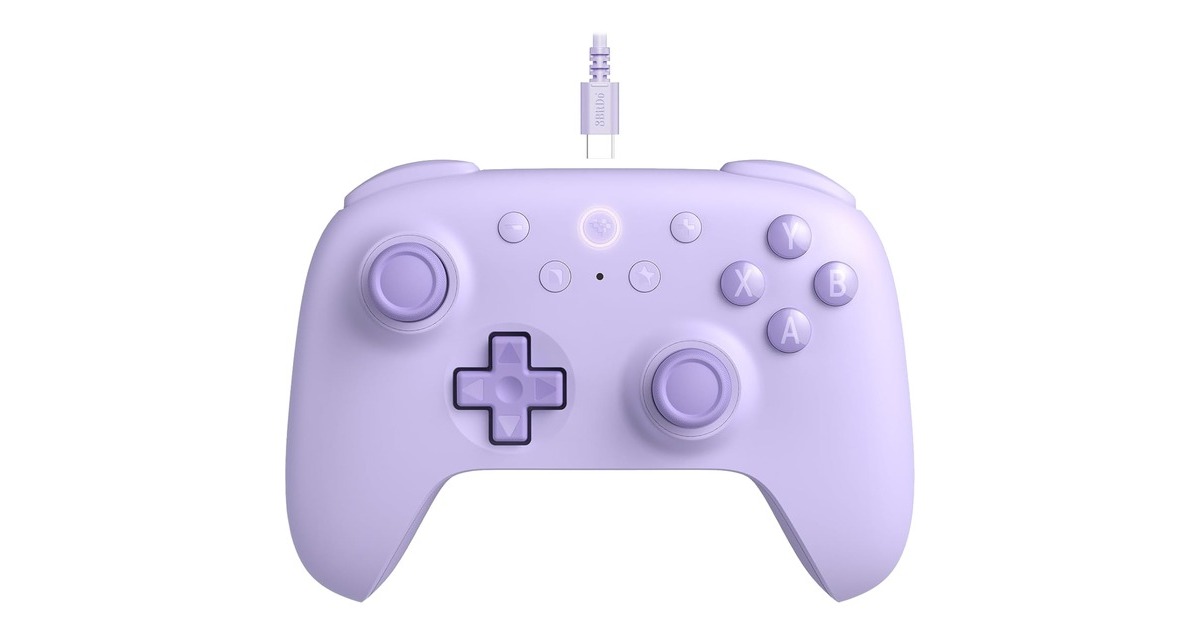 8BitDoUltimate 2C Wired gamepad  (Lila)