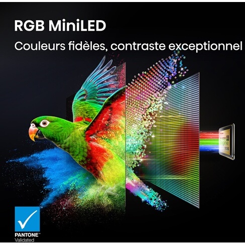 TV LED Hisense RGB Mini LED 65UR9S 164 cm 2026