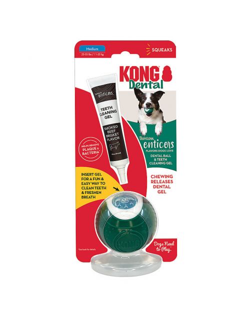 Tropiclean Enticers Dental Ball Kit Rund - Gebitsverzorging