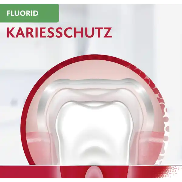 Fluorid Zahnpasta