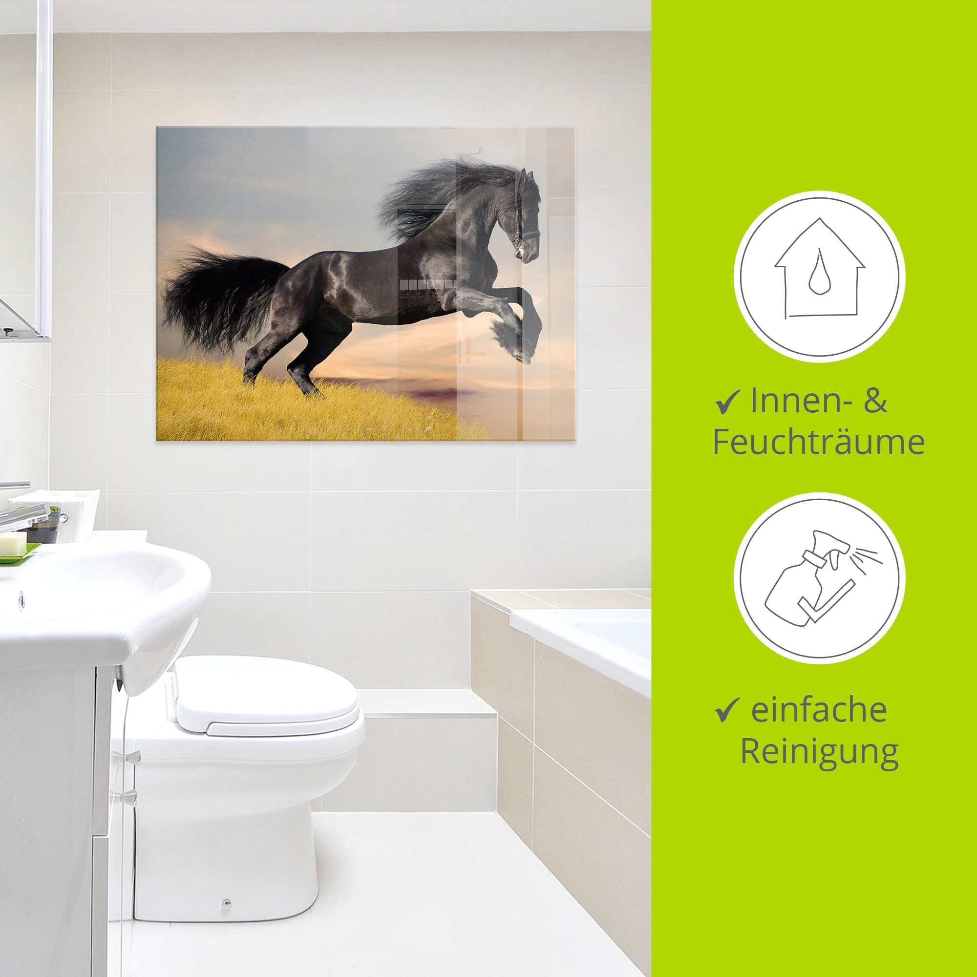 Artland Glasbild »Friesischer Hengstgalopp« Haustiere 1 Stk. tlg. in verschiedenen Grössen