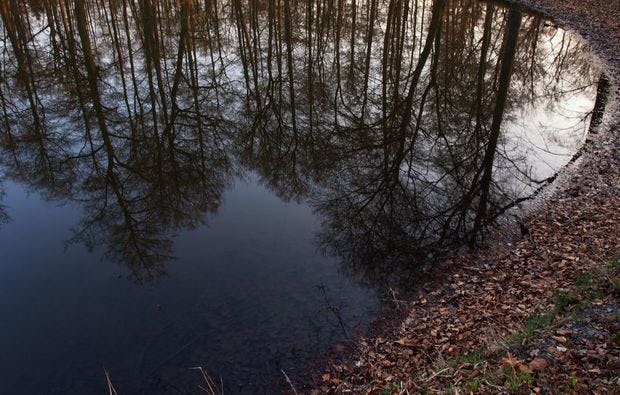 Fotokurs Schlossgelände und Tiergarten als Geschenk