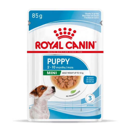 Royal Canin Mini Puppy em molho