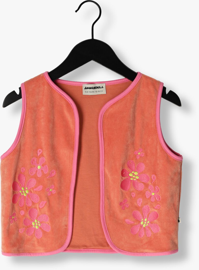 AMMEHOELA roze ammehoela gilet am-emmy-22