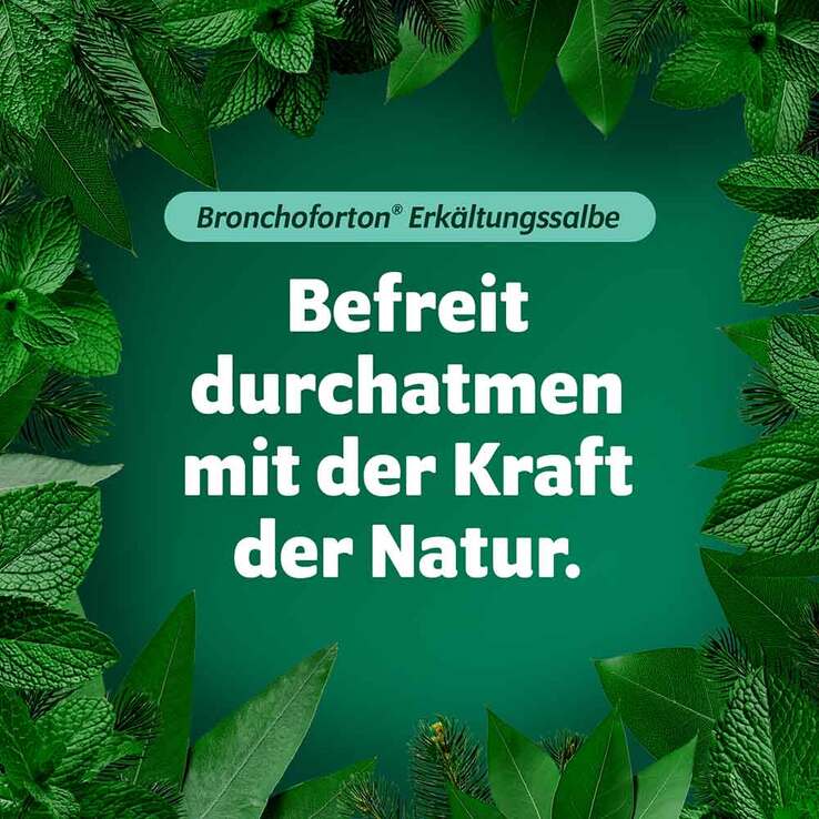 Bronchoforton® Salbe, 100 g
