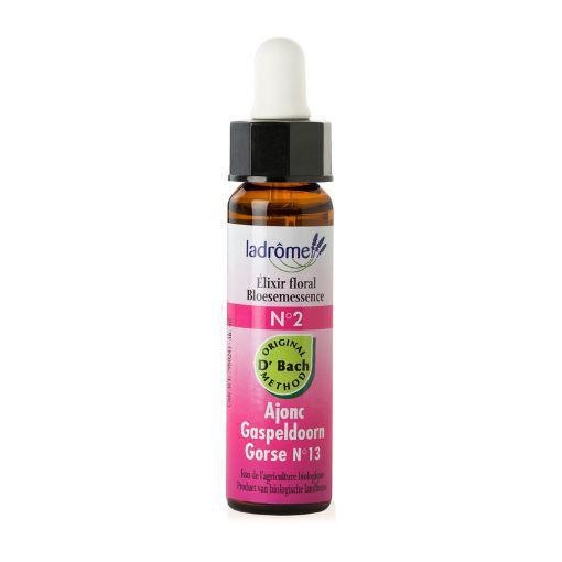 La Drome Gorse / gaspeldoorn 10ml