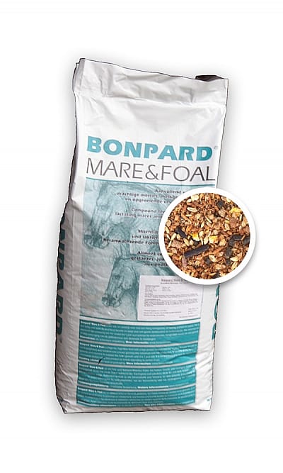 Bonpard Mare en Foal 20 kg