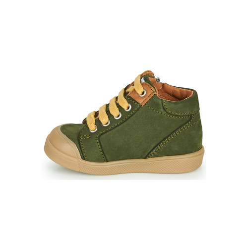 GBB - TIMOTHE - Vert