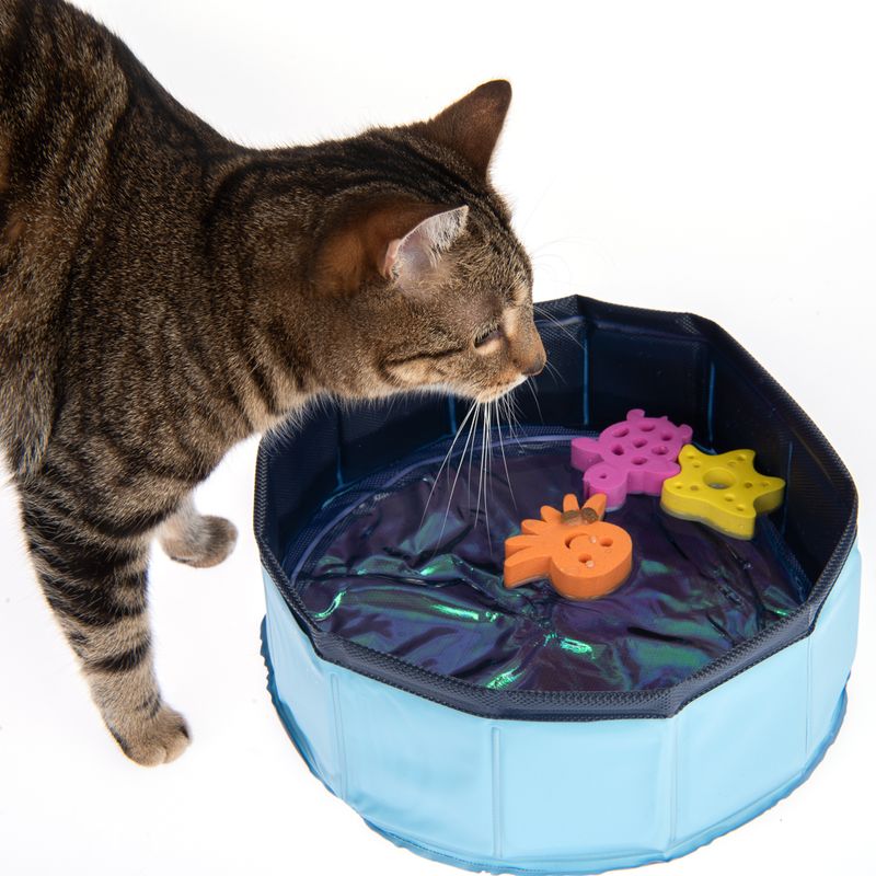 Jouet Kitty Lake
