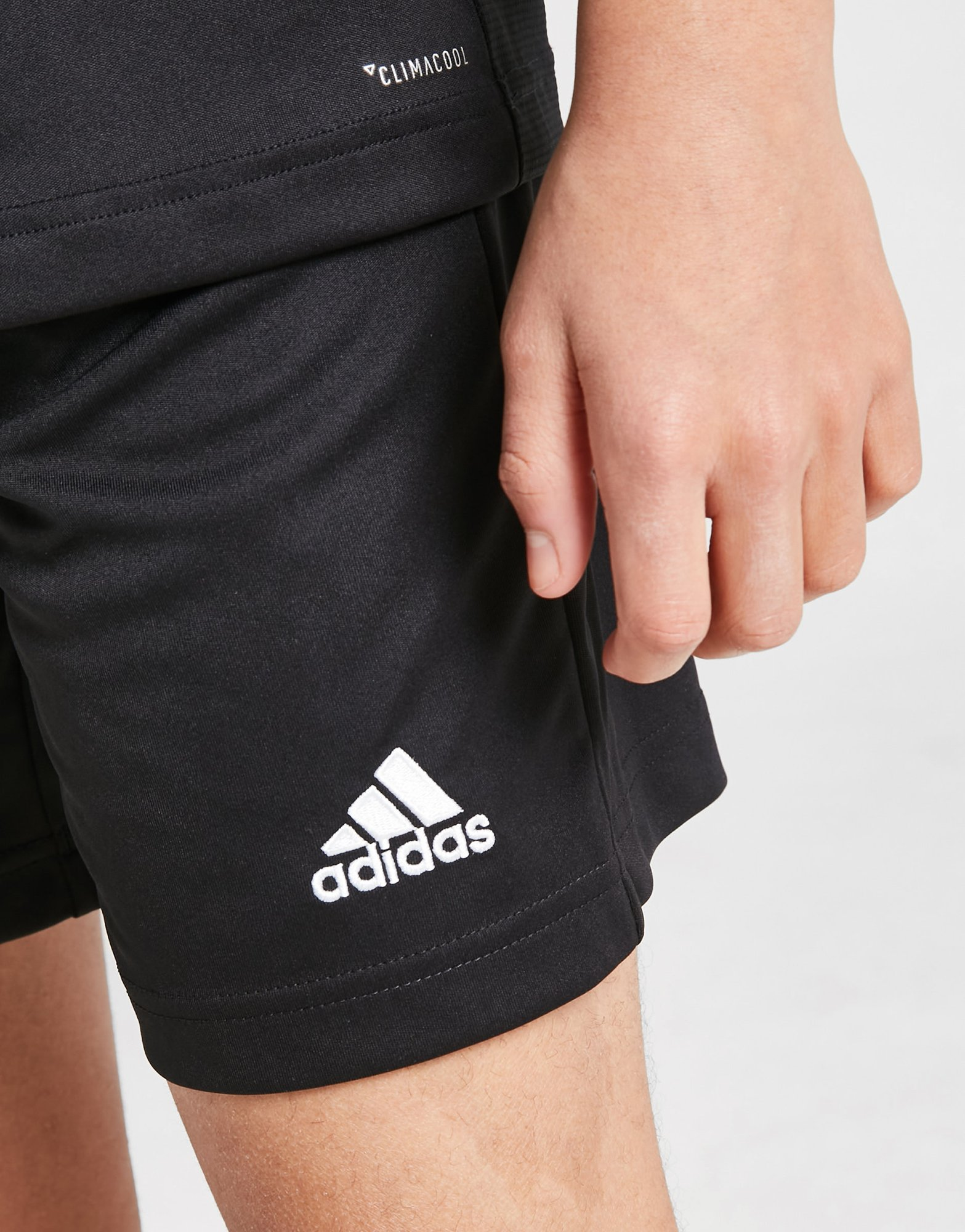 adidas Short Entrada 22