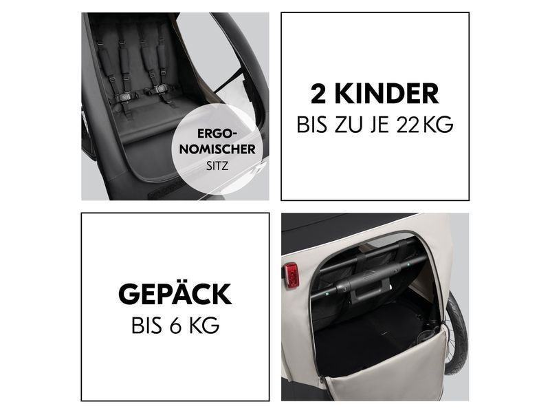 Hauck Veloanhänger Dryk Duo Plus Schwarz Veloanhänger für 2 Kinder